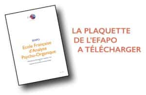 Plaquette EFAPO